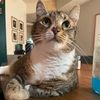 doinstuffdani
